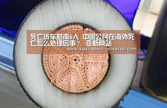 死亡货车越南6人 中国公民在海外死亡怎么处理后事?_亚新网站(图1) 亚新app
